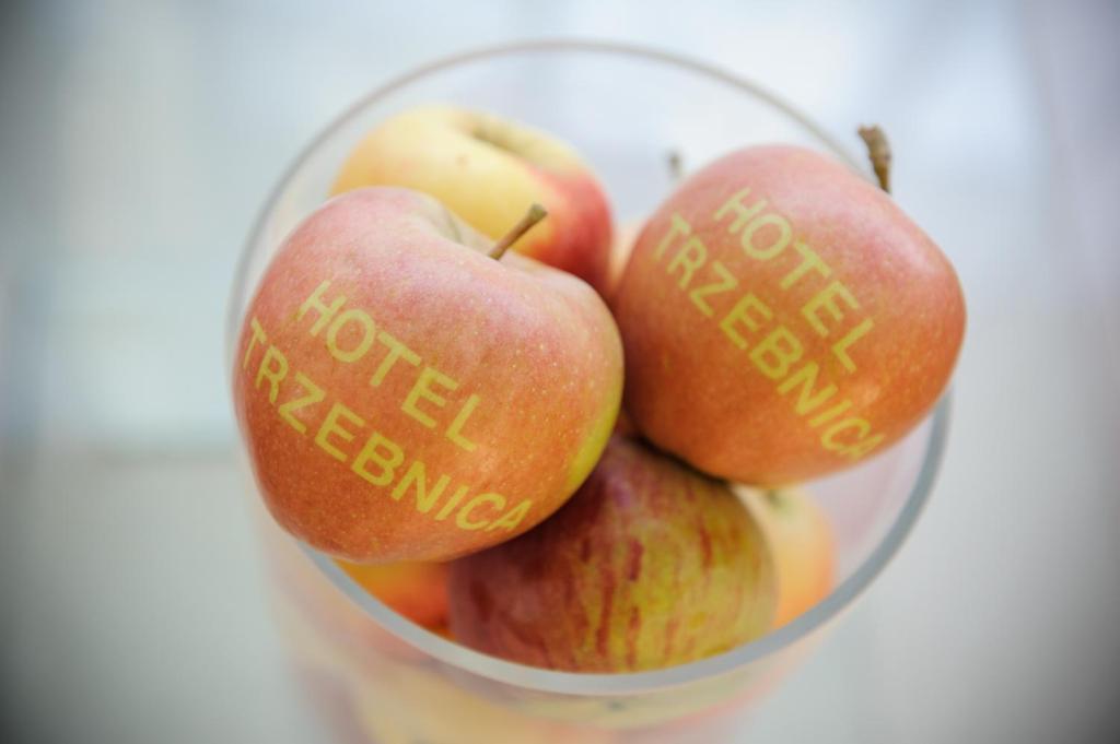 Hotel Trzebnica Kültér fotó